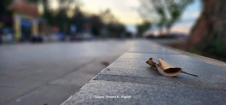 Life isn’t an Autumn 🍂 | Poem&nbsp;#22